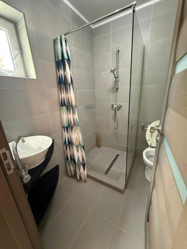 a bathroom with a shower and a sink and a toilet at Agropa Rooms & Garden Events in Bistriţa