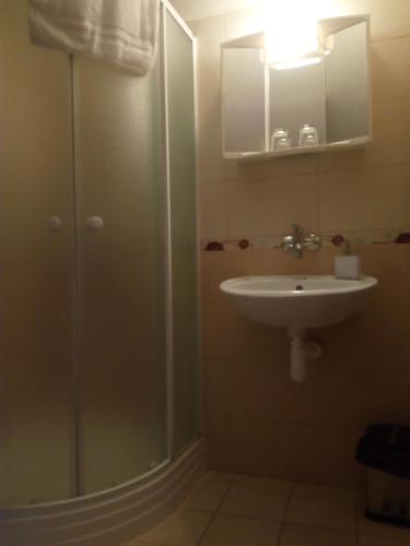 a bathroom with a sink and a shower with a mirror at Penzion U Slunce in Jaroměř