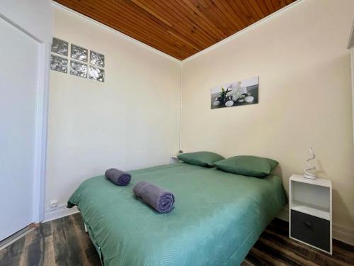 a bedroom with a large green bed with pillows at L'essentiel Gare d'Oullins - 3 chambres - 15 min de Lyon in Oullins