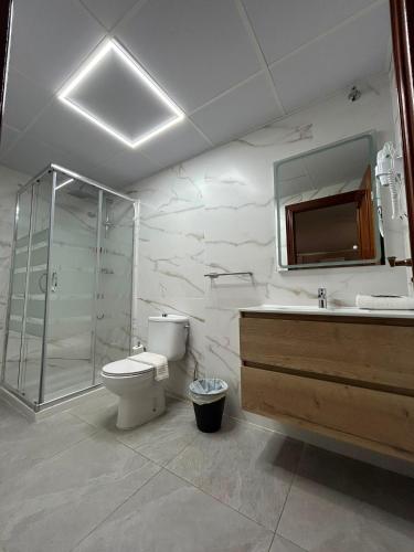a bathroom with a toilet and a shower and a sink at Hotel Velis in Vélez-Málaga