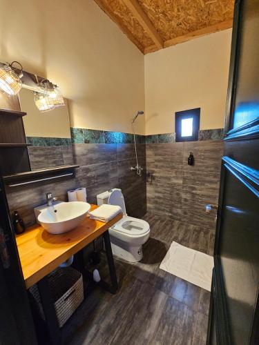 a bathroom with a sink and a toilet at Meezane Farmhouse in Bir Jedíd Saint-Hubert