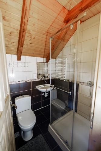 a bathroom with a toilet and a sink at Gostynniy Dvir Raytshtoky in Vorokhta