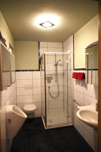 a bathroom with a shower and a toilet and a sink at Appartement Schatz in Uderns