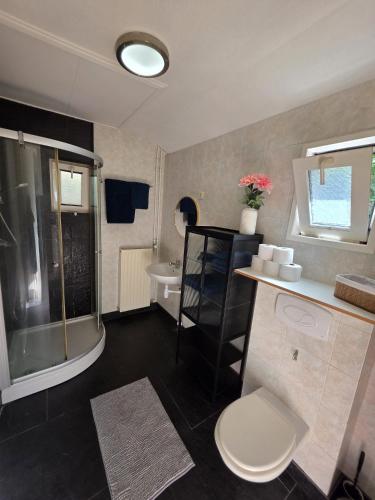 a bathroom with a shower and a toilet and a sink at Huisje 11 in Enschede