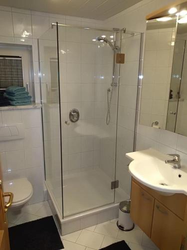 a bathroom with a shower and a toilet and a sink at Apart Lisi in Fügenberg