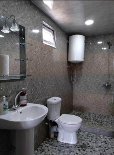 a bathroom with a toilet and a sink at Motena Guesthouse in Martvili
