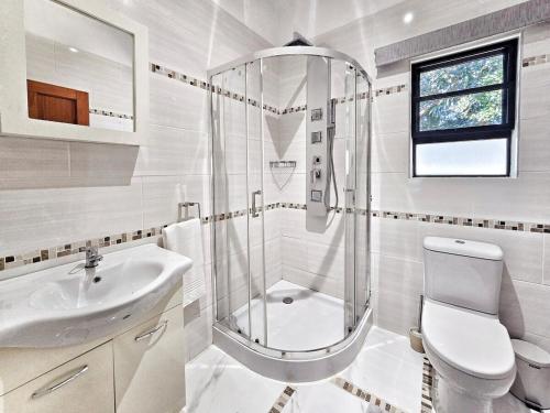 a bathroom with a shower and a toilet and a sink at Manzini Chalet no20 in St Lucia