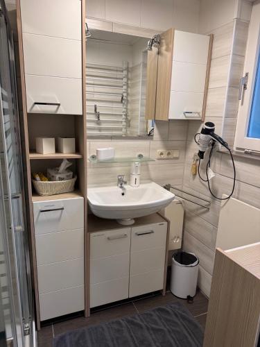 a bathroom with a sink and a mirror at Ferienhaus Conneforde in Wiefelstede