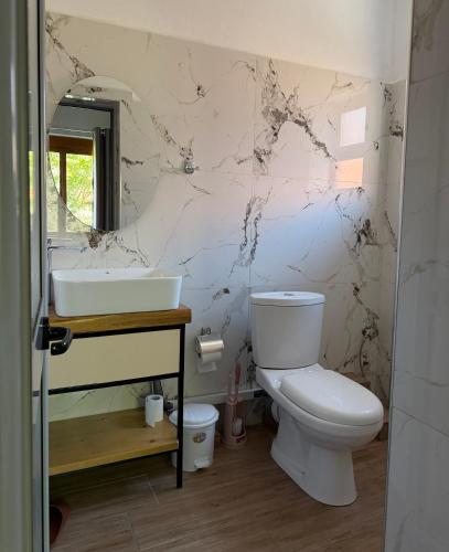 a bathroom with a toilet and a sink and a mirror at Artist House in Pogradec