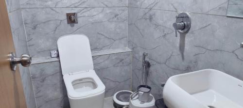 a bathroom with a white toilet and a sink at Hotel Radhe Inn in Gandhinagar