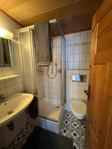 a bathroom with a shower and a sink and a toilet at Charme im Fachwerkhaus in Sugenheim