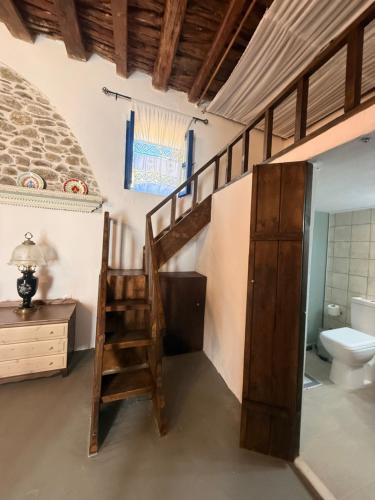 a bathroom with a staircase and a toilet in a room at Grandma Stella's Old House in Apolakkiá