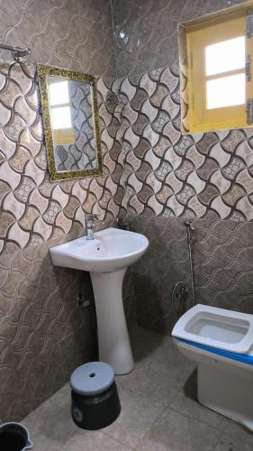 a bathroom with a sink and a toilet and a mirror at Hotel green chinar & restaurant in Srinagar