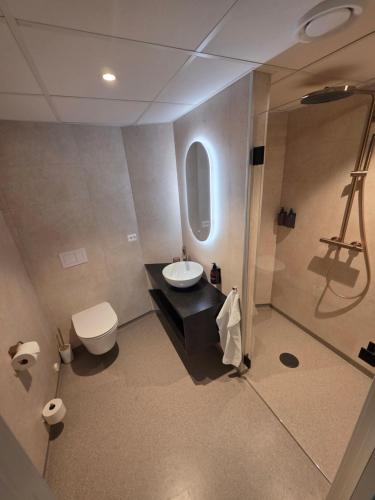 a bathroom with a toilet and a sink and a shower at Stryn Kaffebar & Vertshus in Stryn