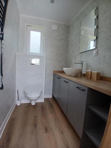 a bathroom with a sink and a toilet at U Přejezdu in Česká Lípa