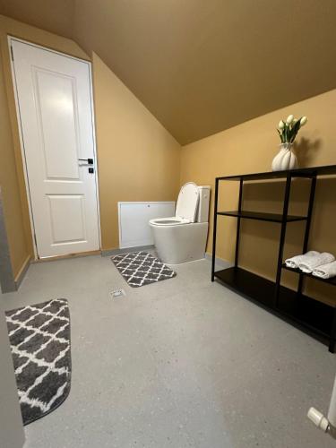 a bathroom with a toilet and a white door at Ela’s retreat in Dealu Mare