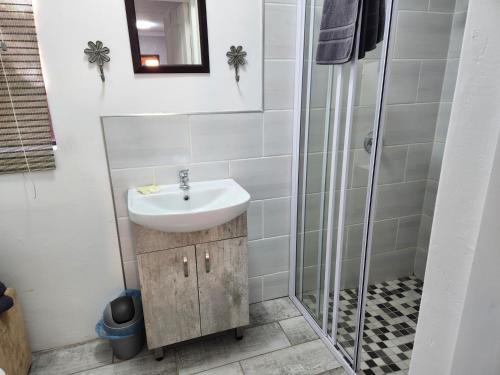 a bathroom with a sink and a shower at Lafenis Selfsorg in Jan Kempdorp