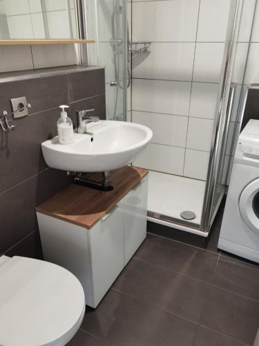 a bathroom with a sink and a toilet and a shower at Ferienwohnung Möwe in Schönberg