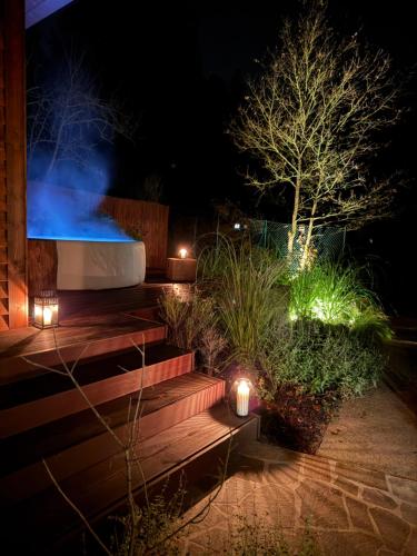 a garden at night with a fountain and lights at Wellness Chata Trvalka in Píkovice