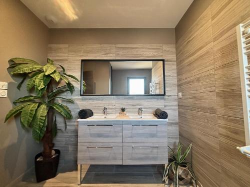 a bathroom with a sink and a mirror at Villa Palmiers 5 min de la Mer, confortable 4 Personnes, parking free, in Sérignan