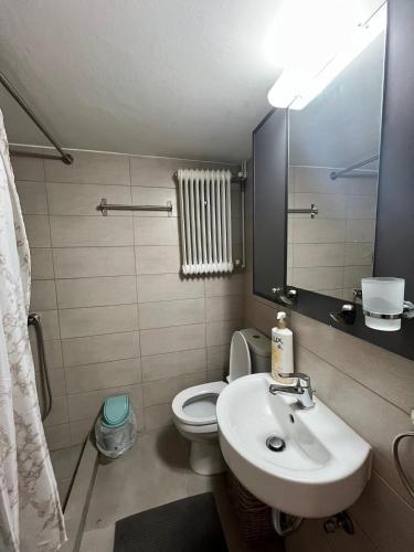Anastasia's Modern Apartment