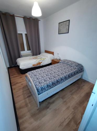 a bedroom with two beds in a room at Enjoy Pirineos in Huesca