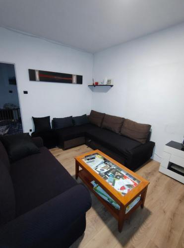 a living room with a couch and a coffee table at Enjoy Pirineos in Huesca