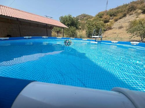 a swimming pool with a soccer ball on the water at Dilisharm in Dilijan