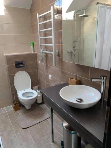 a bathroom with a white toilet and a sink at Felüdülő Apartman Balatonlelle in Balatonlelle