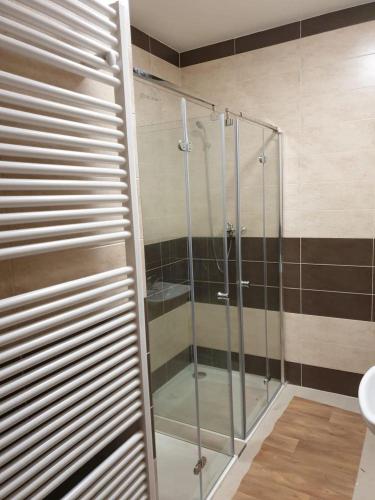 a glass shower in a bathroom with a sink at Ubytování Klicperova in Chlumec nad Cidlinou