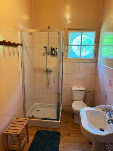 a bathroom with a shower and a toilet and a sink at Chambre spacieuse in Pineuilh