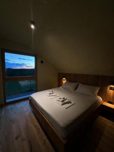 a bedroom with a large bed with a large window at Vila Mill in Sveti Jurij ob Ščavnici