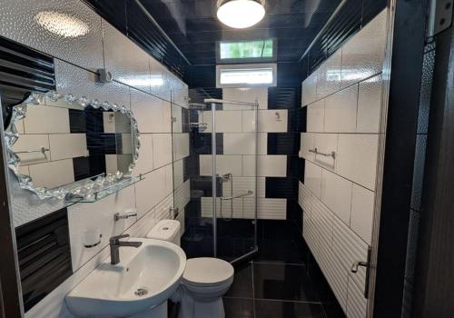a bathroom with a sink and a toilet and a mirror at TIRKIUS House in Kobuleti