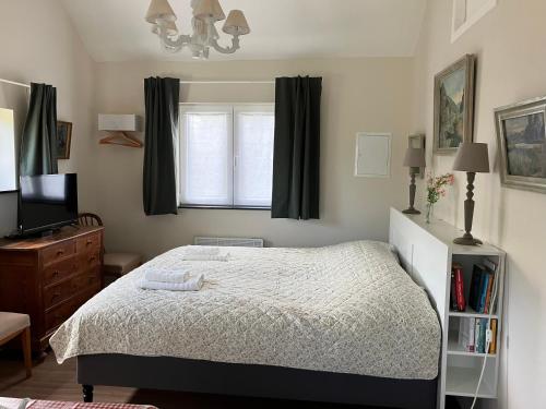 a bedroom with a bed and a television and a window at Le Pavillon in Céroux-Mousty