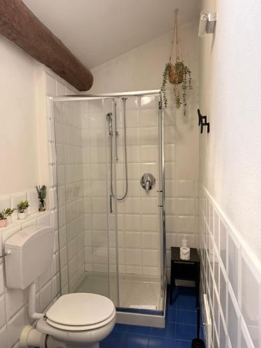a bathroom with a shower with a toilet at Appartamento centro parma con ascensore BORGO 22 in Parma