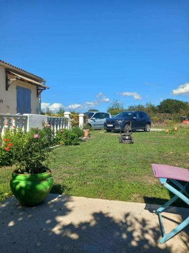 a yard with a plant in a pot and parked cars at Villa Cardicciosa in Ghisonaccia