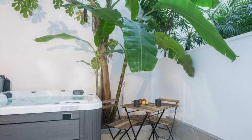 Salomi Suite with outdoor Jacuzzi