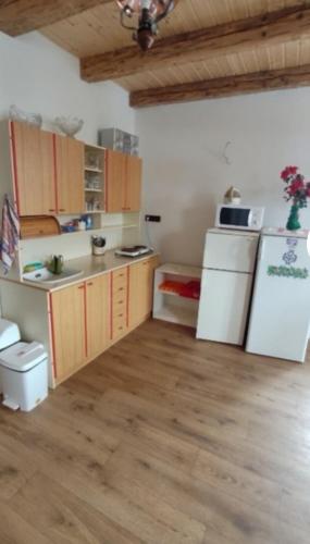 a kitchen with a white refrigerator and a stove top oven at Farma Dolní Dvořiště in Dolní Dvořiště