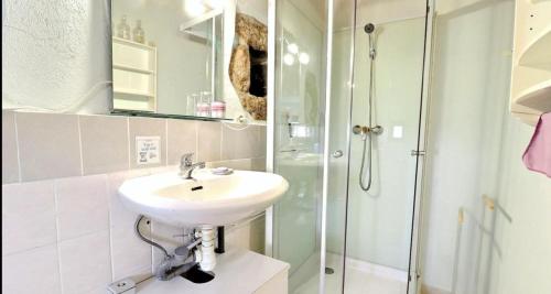 a bathroom with a sink and a shower at Chambre d'hôtes L'Adrienne in Chazeaux