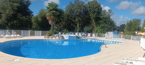 a large blue pool with chairs and a palm tree at Les Chênes Verts in Saint-Savinien