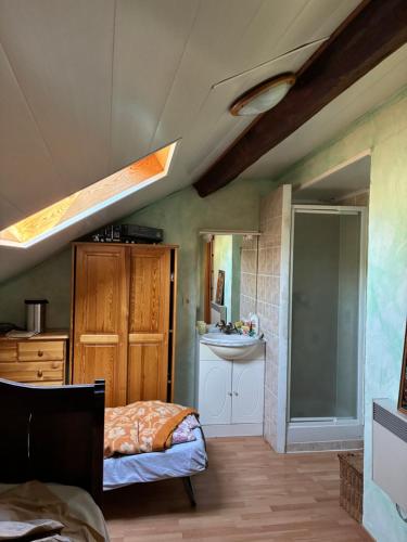 a bedroom with a bed and a sink at La grange un refuge in Mijanès