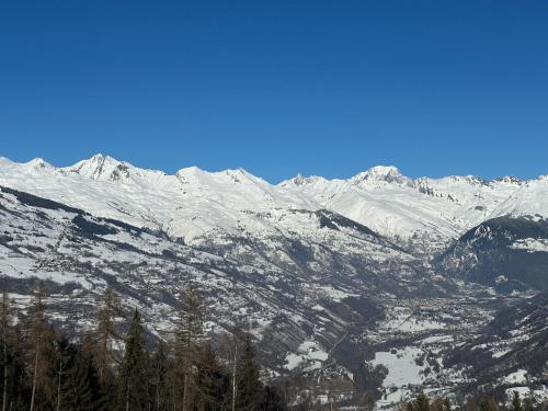 Duplex Les Coches La Plagne