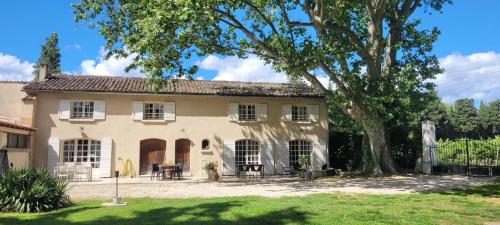 an old house with a tree in front of it at Logement charme provençal in Cabannes