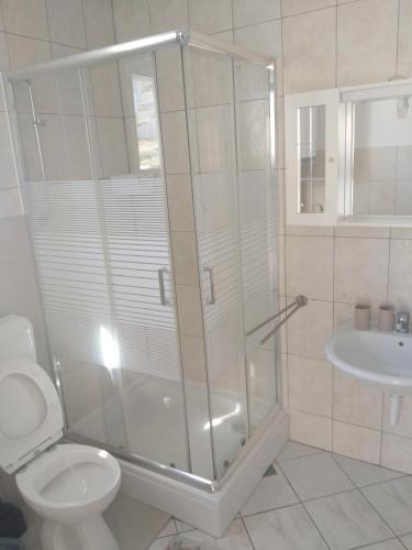 a bathroom with a shower and a toilet and a sink at Apartmants 38 in Pag