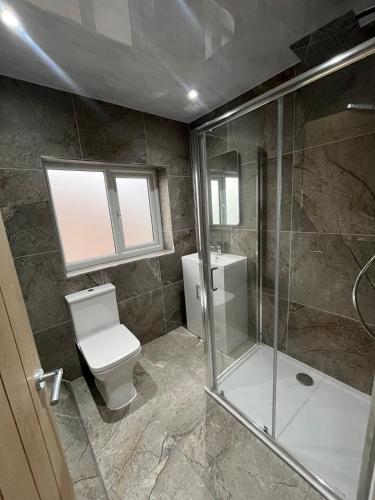 a bathroom with a toilet and a shower at Droversdale Delux hottub and pool table in Bircotes
