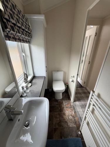 a bathroom with a white sink and a toilet at Sunnyside Lodge in Dunning Station