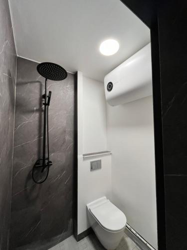 a small bathroom with a toilet and a shower at Pagalėlių namai in Voveriai