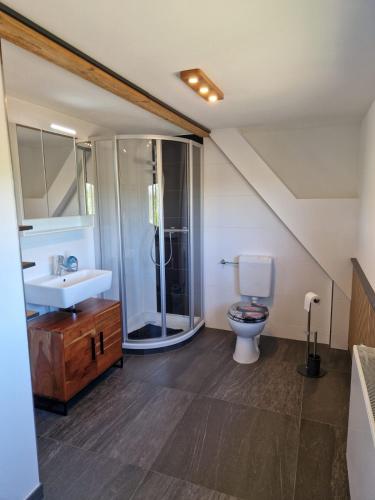 a bathroom with a toilet and a sink and a shower at Ferienwohnung Stützengrün in Stützengrün