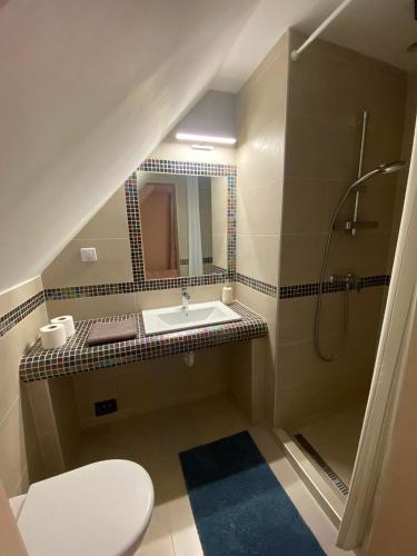 a bathroom with a toilet and a sink and a shower at Garden Spa Resort in Budapest