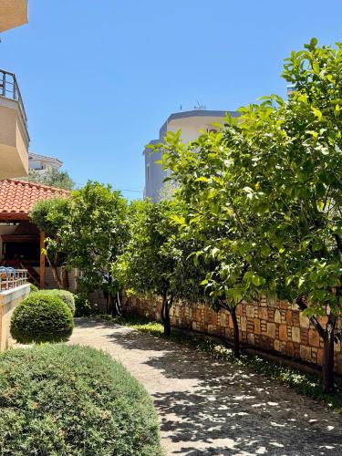 a stone wall with trees in front of a building at Mihasi Apartments in Ksamil